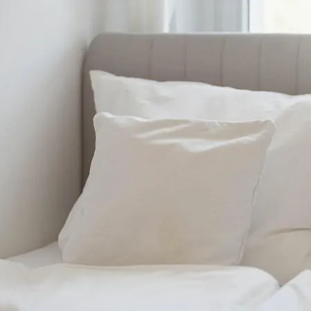 Fritz Am Bauhausmuseum *