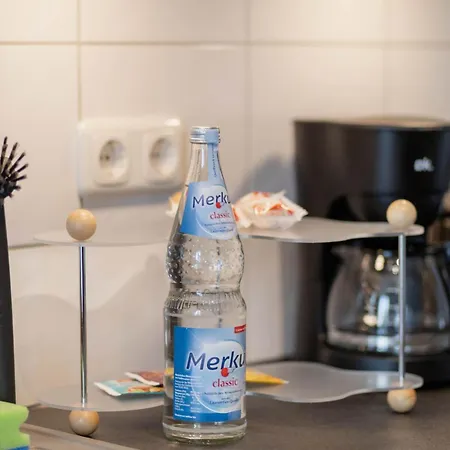 Fritz Am Bauhausmuseum *