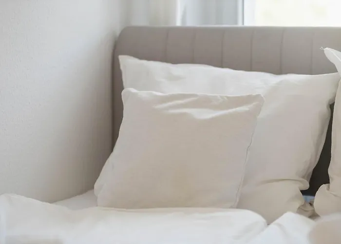 Fritz Am Bauhausmuseum *