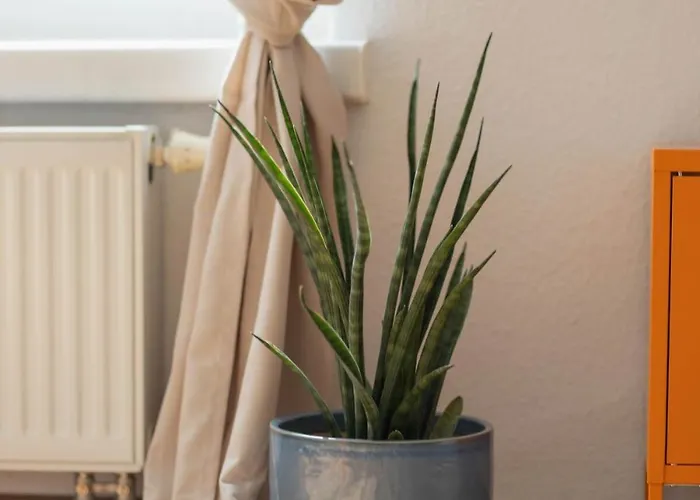 Fritz Am Bauhausmuseum Apartman