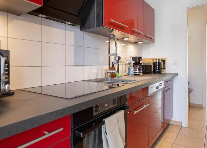 Fritz Am Bauhausmuseum * Dessau-Rosslau