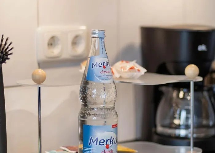 Fritz Am Bauhausmuseum *